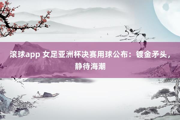 滚球app 女足亚洲杯决赛用球公布：镀金矛头，静待海潮