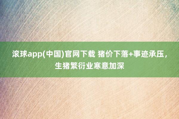 滚球app(中国)官网下载 猪价下落+事迹承压，生猪繁衍业寒意加深