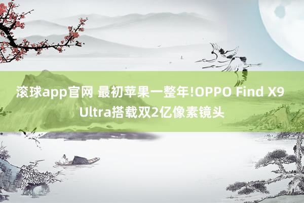滚球app官网 最初苹果一整年!OPPO Find X9 Ultra搭载双2亿像素镜头