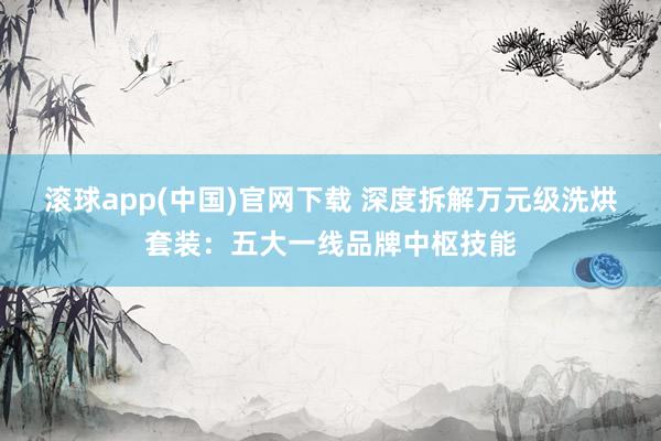 滚球app(中国)官网下载 深度拆解万元级洗烘套装：五大一线品牌中枢技能