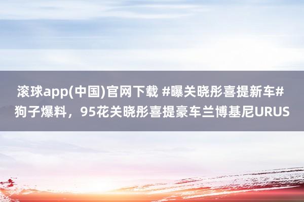 滚球app(中国)官网下载 #曝关晓彤喜提新车# 狗子爆料，95花关晓彤喜提豪车兰博基尼URUS