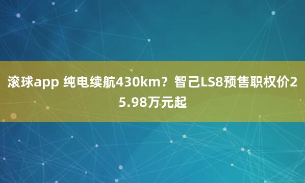 滚球app 纯电续航430km？智己LS8预售职权价25.98万元起