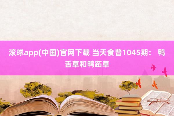 滚球app(中国)官网下载 当天食普1045期： 鸭舌草和鸭跖草
