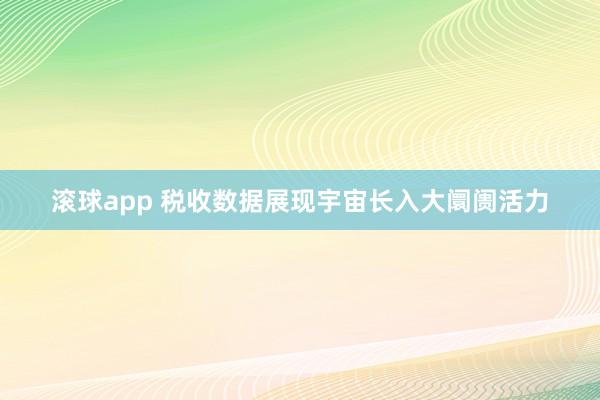 滚球app 税收数据展现宇宙长入大阛阓活力