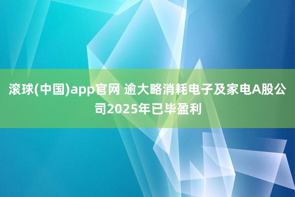 滚球(中国)app官网 逾大略消耗电子及家电A股公司2025年已毕盈利