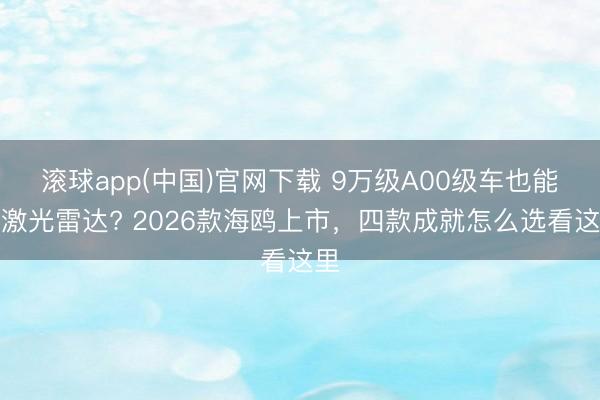 滚球app(中国)官网下载 9万级A00级车也能装激光雷达? 2026款海鸥上市，四款成就怎么选看这里