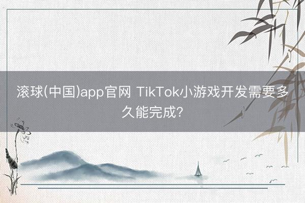滚球(中国)app官网 TikTok小游戏开发需要多久能完成？