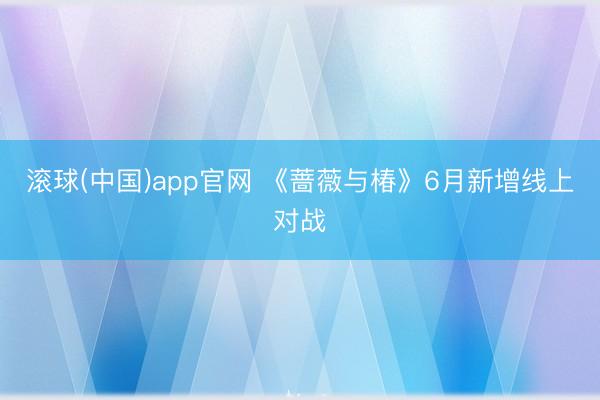 滚球(中国)app官网 《蔷薇与椿》6月新增线上对战