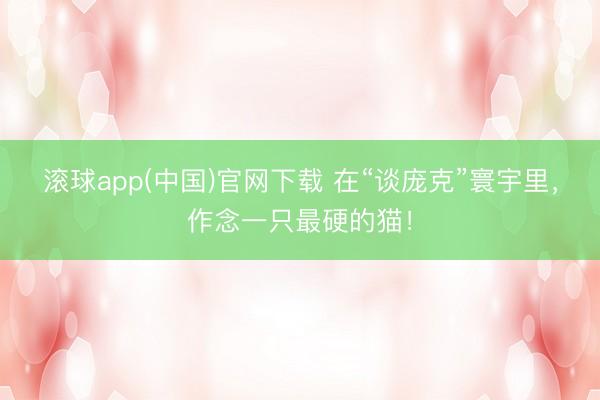 滚球app(中国)官网下载 在“谈庞克”寰宇里，作念一只最硬的猫！