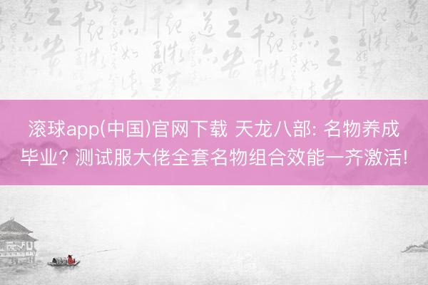 滚球app(中国)官网下载 天龙八部: 名物养成毕业? 测试服大佬全套名物组合效能一齐激活!