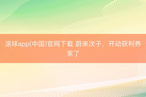 滚球app(中国)官网下载 蔚来次子，开动获利养家了