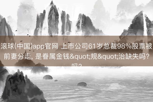 滚球(中国)app官网 上市公司61岁总裁98%股票被前妻分走， 是眷属金钱"规"治缺失吗?