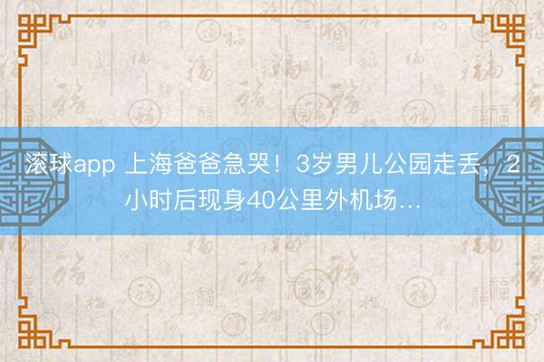 滚球app 上海爸爸急哭！3岁男儿公园走丢，2小时后现身40公里外机场…
