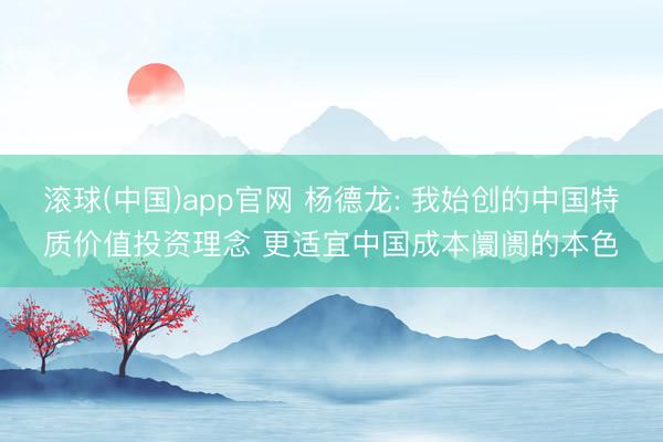 滚球(中国)app官网 杨德龙: 我始创的中国特质价值投资理念 更适宜中国成本阛阓的本色