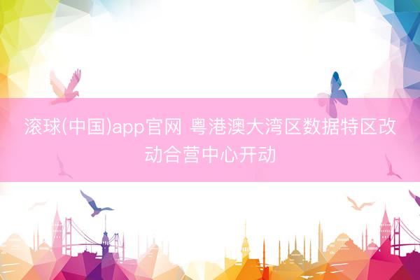 滚球(中国)app官网 粤港澳大湾区数据特区改动合营中心开动
