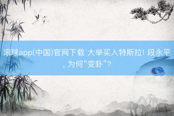 滚球app(中国)官网下载 大举买入特斯拉! 段永平, 为何“变卦”?