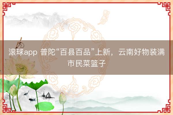 滚球app 普陀“百县百品”上新，云南好物装满市民菜篮子