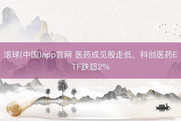 滚球(中国)app官网 医药成见股走低，科创医药ETF跌超2%