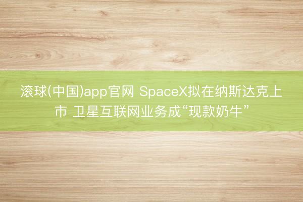 滚球(中国)app官网 SpaceX拟在纳斯达克上市 卫星互联网业务成“现款奶牛”