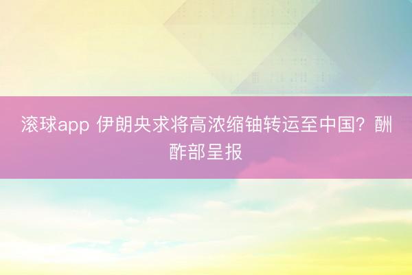 滚球app 伊朗央求将高浓缩铀转运至中国？酬酢部呈报