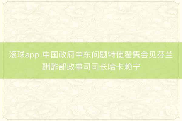 滚球app 中国政府中东问题特使翟隽会见芬兰酬酢部政事司司长哈卡赖宁