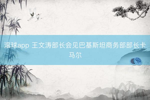 滚球app 王文涛部长会见巴基斯坦商务部部长卡马尔