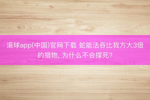 滚球app(中国)官网下载 蛇能活吞比我