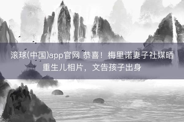 滚球(中国)app官网 恭喜！梅里诺妻子社媒晒重生儿相片，文告孩子出身