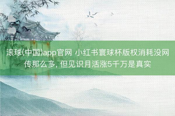 滚球(中国)app官网 小红书寰球杯版权消耗没网传那么多， 但见识月活涨5千万是真实