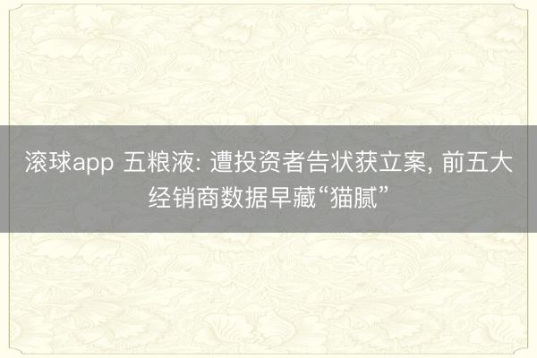 滚球app 五粮液: 遭投资者告状获立案， 前五大经销商数据早藏“猫腻”