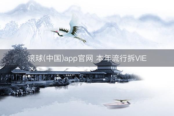 滚球(中国)app官网 本年流行拆VIE