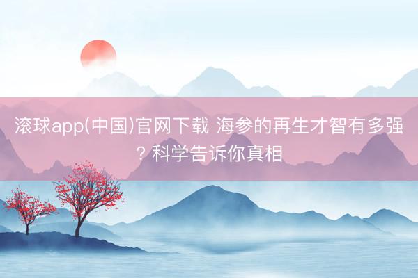 滚球app(中国)官网下载 海参的再生才智有多强? 科学告诉你真相