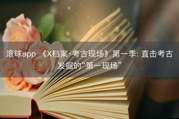 滚球app 《X档案·考古现场》第一季: 直击考古发掘的“第一现场”