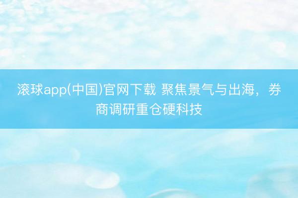 滚球app(中国)官网下载 聚焦景气与出海，券商调研重仓硬科技