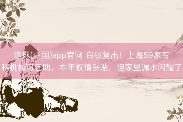 滚球(中国)app官网 白蚁复出!上海59家专科机构可乞助,本年蚁情妥贴,但家里漏水闪耀了