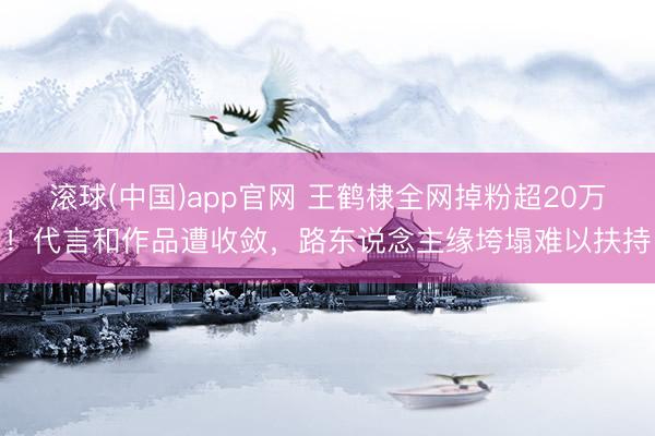滚球(中国)app官网 王鹤棣全网掉粉超20万！代言和作品遭收敛，路东说念主缘垮塌难以扶持