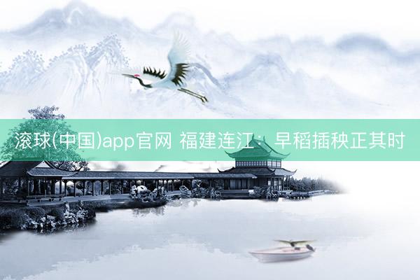 滚球(中国)app官网 福建连江：早稻插秧正其时