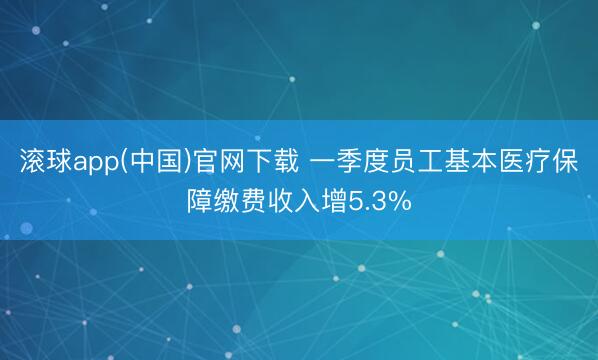 滚球app(中国)官网下载 一季度员工基本医疗保障缴费收入增5.3%