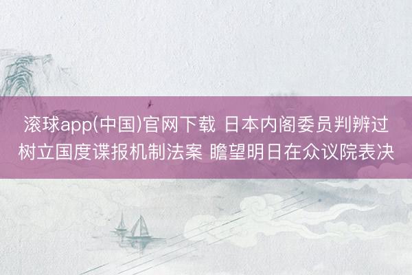 滚球app(中国)官网下载 日本内阁委员判辨过树立国度谍报机制法案 瞻望明日在众议院表决