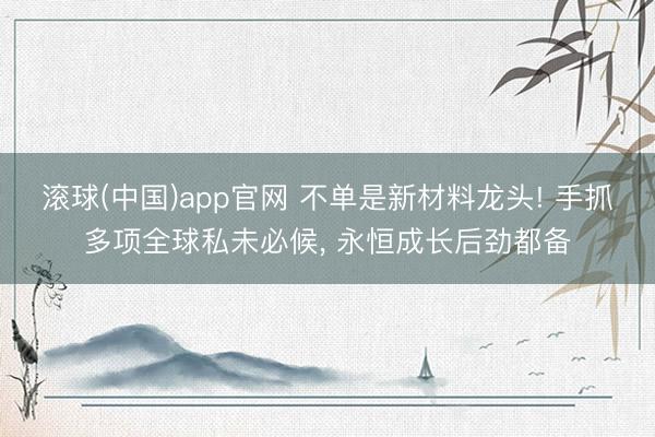 滚球(中国)app官网 不单是新材料龙头! 手抓多项全球私未必候， 永恒成长后劲都备
