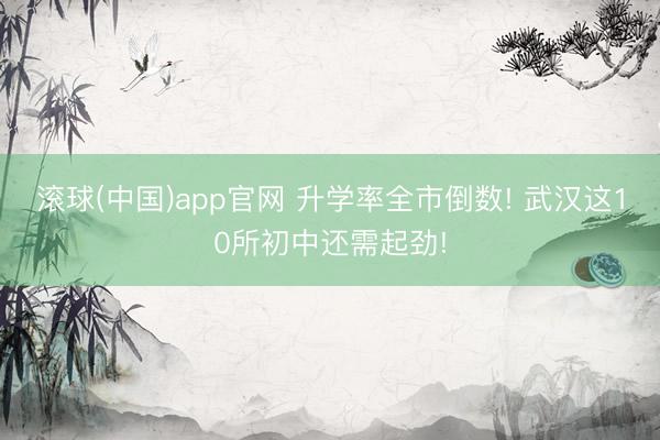 滚球(中国)app官网 升学率全市倒数! 武汉这10所初中还需起劲!
