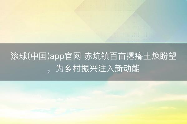滚球(中国)app官网 赤坑镇百亩撂瘠土焕盼望，为乡村振兴注入新动能
