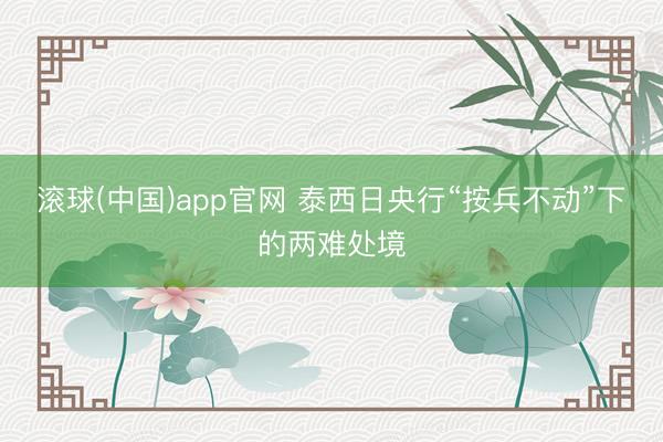 滚球(中国)app官网 泰西日央行“按兵不动”下的两难处境