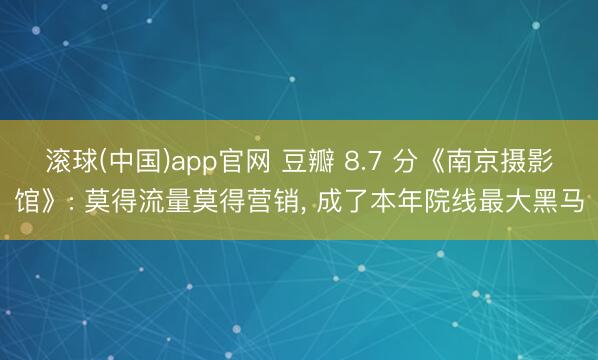 滚球(中国)app官网 豆瓣 8.7 分《南京摄影馆》: 莫得流量莫得营销， 成了本年院线最大黑马
