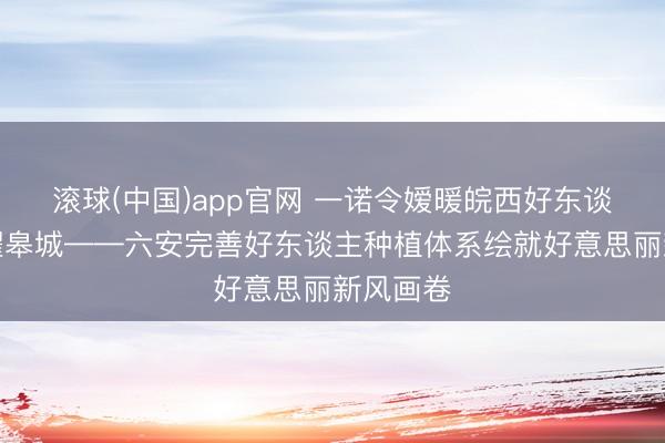 滚球(中国)app官网 一诺令嫒暖皖西好东谈主品牌耀皋城——六安完善好东谈主种植体系绘就好意思丽新风画卷